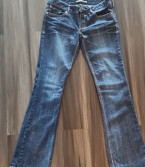 Express Dark Blue Flare Jeans